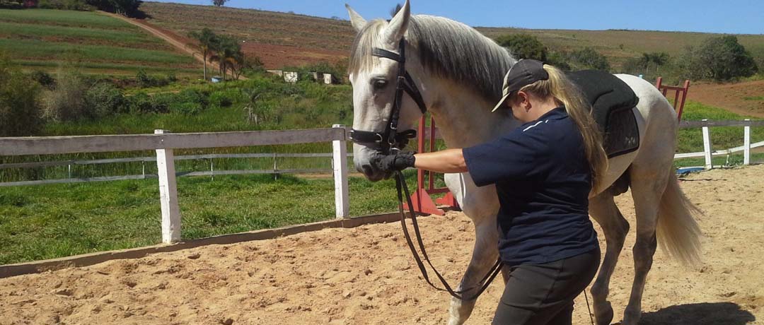 melhorar condicionamento fisico cavalo